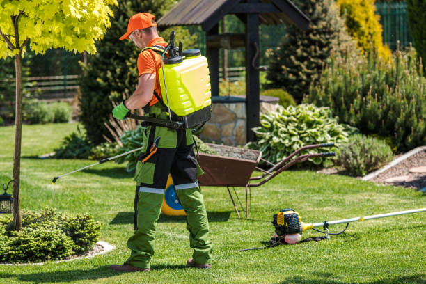 Best Bee and Wasp Removal  in Homer, IL